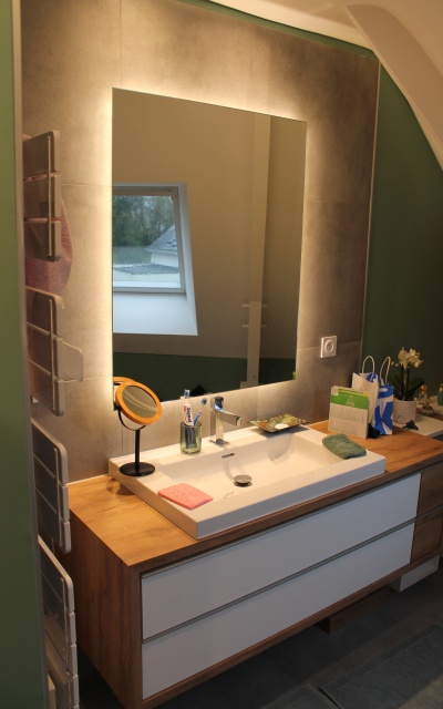 Rénovation d'une salle d'eau sous combles à Plescop